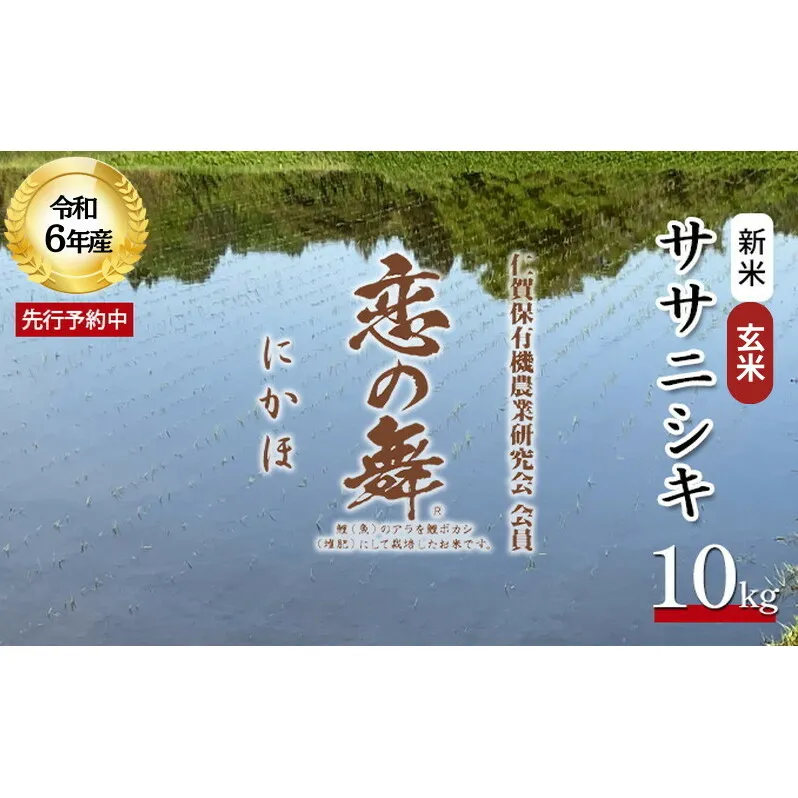 令和6年産 新米 11月から発送 特別栽培米 恋の舞 ササニシキ にかほ 玄米 10kg