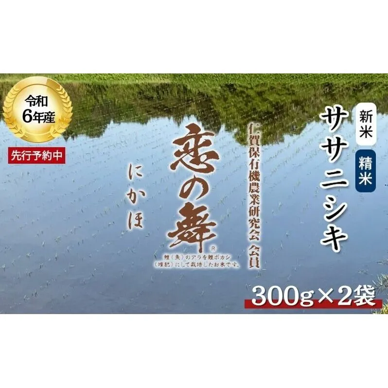 令和6年産 新米 11月から発送 特別栽培米 恋の舞 ササニシキ 2合×2袋（300g×2袋 小分け 精米）