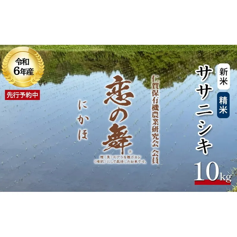 令和6年産 新米 11月から発送 恋の舞 ササニシキ にかほ 精米 10kg