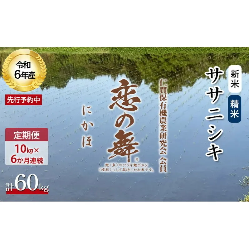 《定期便》令和6年産 新米 11月から発送 恋の舞 ササニシキ にかほ 精米 10kg 6ヶ月連続お届け 計60kg