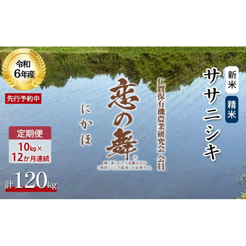 《定期便》令和6年産 新米 11月から発送 恋の舞 ササニシキ にかほ 精米 10kg 12ヶ月連続お届け 計120kg