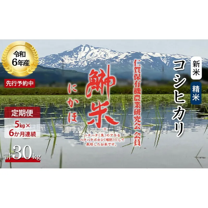 《定期便》令和6年産 新米 11月から発送 特別栽培米 鰰米 コシヒカリ にかほ 精米 5kg 6ヶ月連続お届け 計30kg