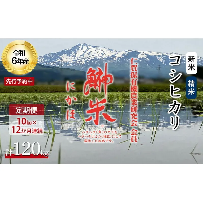 《定期便》令和6年産 新米 11月から発送 特別栽培米 鰰米 コシヒカリ にかほ 精米 10kg 12ヶ月連続お届け 計120kg