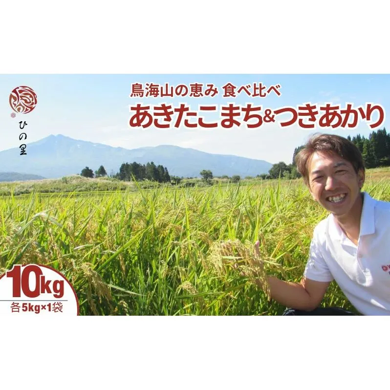 《食べ比べ》《精米》鳥海山の恵み！秋田県産あきたこまち＆つきあかり食べ比べ 各5kgセット 神宿る里の米「ひの米」（お米 小分け）