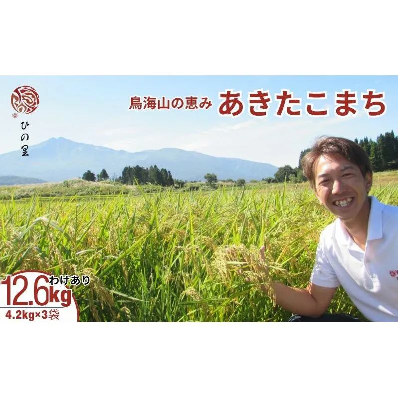 《訳あり》鳥海山の恵み！秋田県産 あきたこまち 精米 12.6kg（4.2kg×3袋）神宿る里の米「ひの米」（お米 小分け）