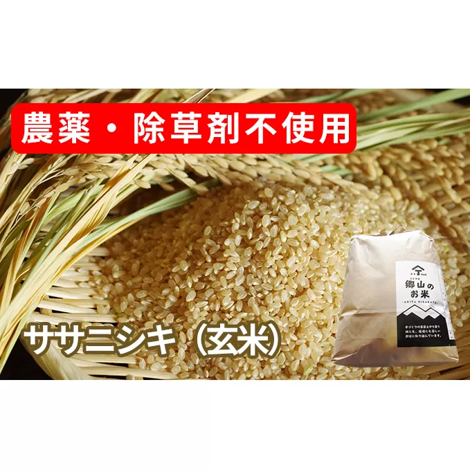 農薬・除草剤不使用で栽培したササニシキ「郷山のお米 2kg」（玄米）