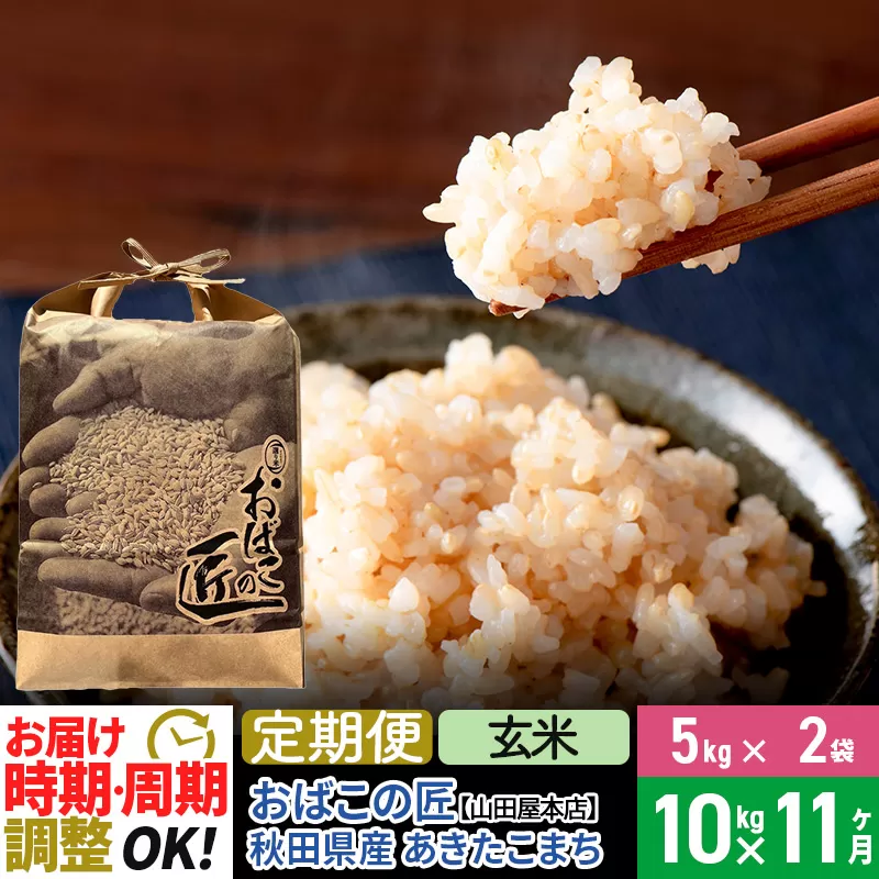 【玄米】《定期便11ヶ月》令和6年産 新米予約 仙北市産 おばこの匠 10kg（5kg×2袋）×11回 計110kg 秋田県産あきたこまち 秋田こまち お米 11か月 11ヵ月 11カ月 11ケ月