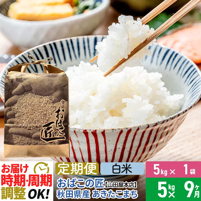 【白米】《定期便9ヶ月》令和6年産 新米予約 仙北市産 おばこの匠 5kg×9回 計45kg 秋田県産あきたこまち 秋田こまち お米 9か月 9ヵ月 9カ月 9ケ月