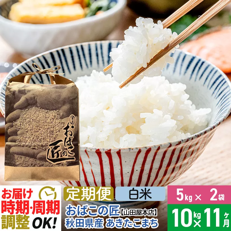 【白米】《定期便11ヶ月》令和6年産 新米予約 仙北市産 おばこの匠 10kg（5kg×2袋）×11回 計110kg 秋田県産あきたこまち 秋田こまち お米 11か月 11ヵ月 11カ月 11ケ月