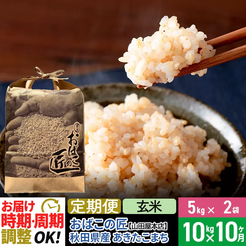 【玄米】《定期便10ヶ月》令和6年産 新米予約 仙北市産 おばこの匠 10kg（5kg×2袋）×10回 計100kg 秋田県産あきたこまち 秋田こまち お米 10か月 10ヵ月 10カ月 10ケ月