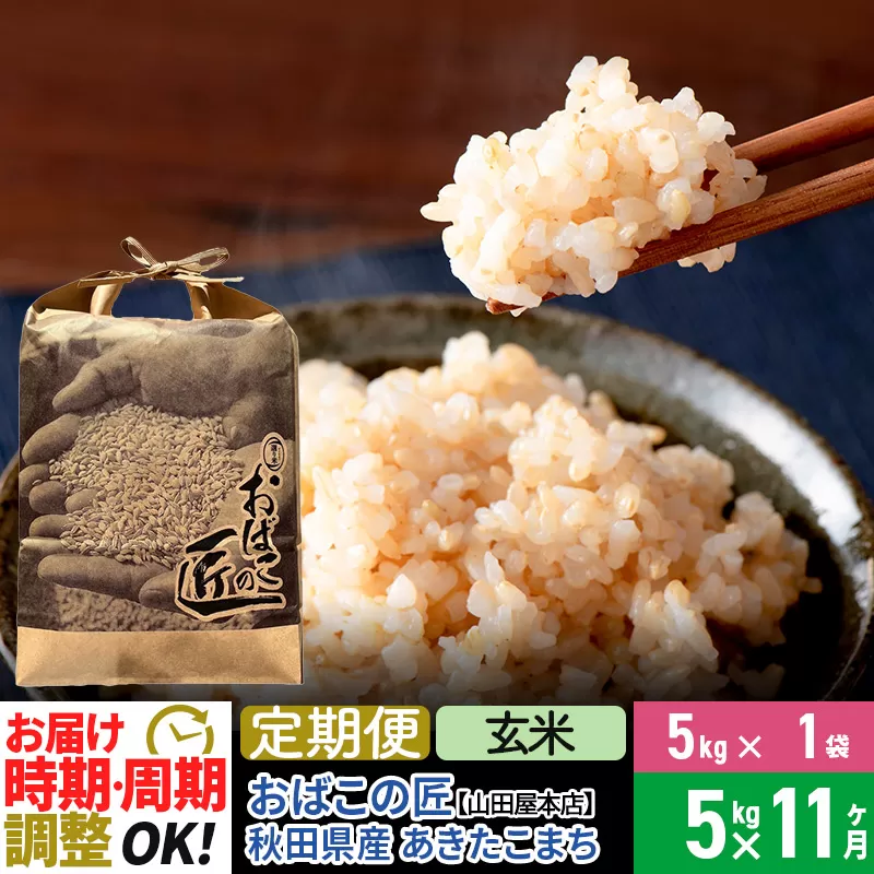 【玄米】《定期便11ヶ月》令和6年産 新米予約 仙北市産 おばこの匠 5kg×11回 計55kg 秋田県産あきたこまち 秋田こまち お米 11か月 11ヵ月 11カ月 11ケ月