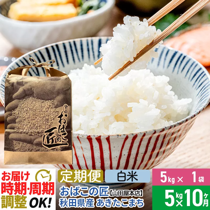 【白米】《定期便10ヶ月》令和6年産 新米予約 仙北市産 おばこの匠 5kg×10回 計50kg 秋田県産あきたこまち 秋田こまち お米 10か月 10ヵ月 10カ月 10ケ月