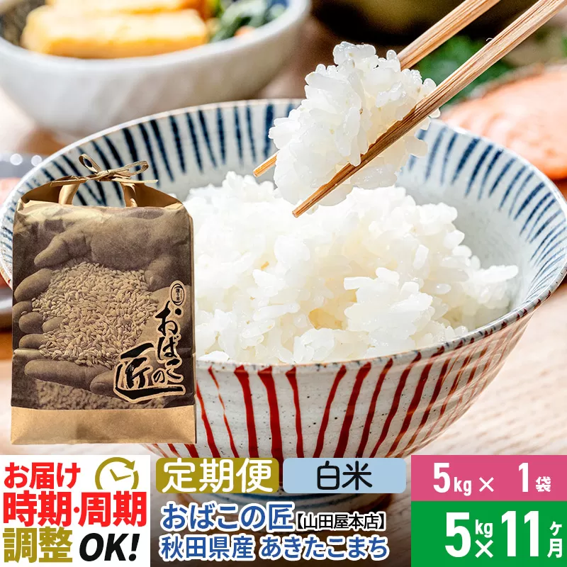 【白米】《定期便11ヶ月》令和6年産 新米予約 仙北市産 おばこの匠 5kg×11回 計55kg 秋田県産あきたこまち 秋田こまち お米 11か月 11ヵ月 11カ月 11ケ月