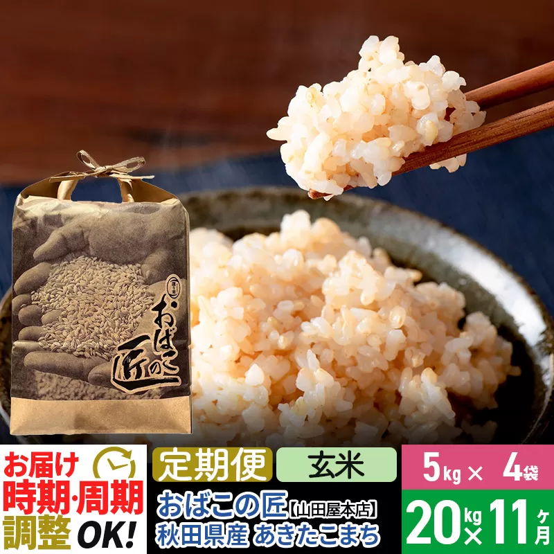 【玄米】《定期便11ヶ月》令和6年産 新米予約 仙北市産 おばこの匠 20kg（5kg×4袋）×11回 計220kg 秋田県産あきたこまち 秋田こまち お米 11か月 11ヵ月 11カ月 11ケ月