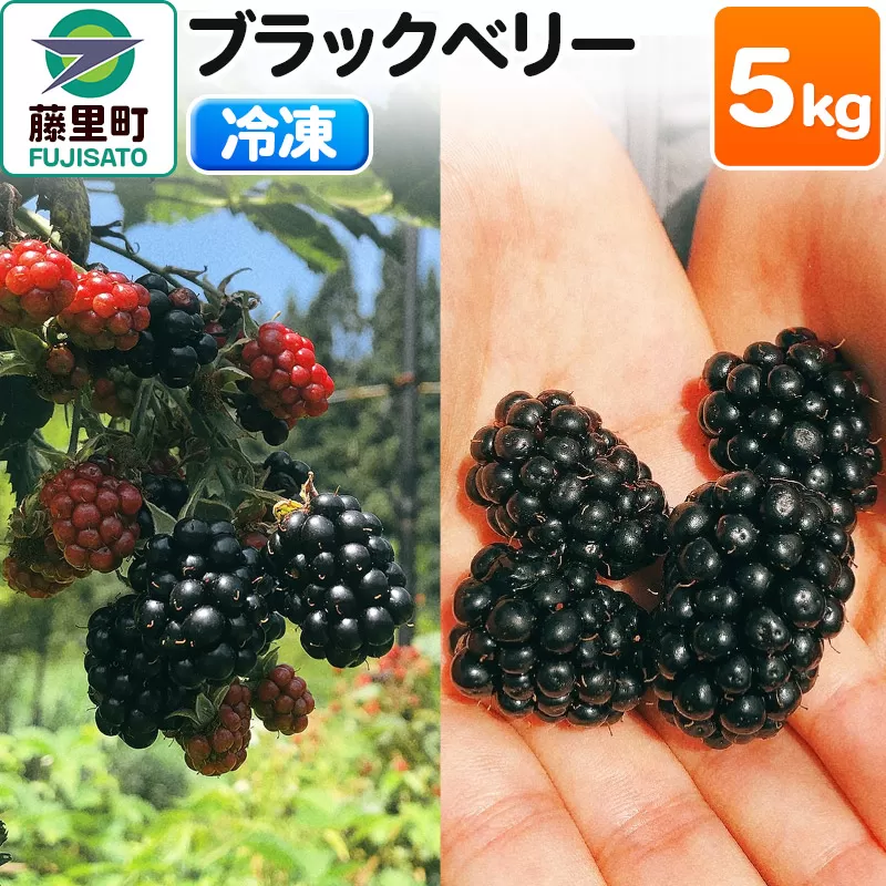 ブラックベリー（冷凍）5kg フルーツ 果物 【8月より発送開始】