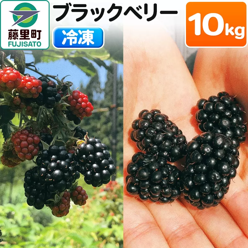 ブラックベリー（冷凍）10kg フルーツ 果物 【8月より発送開始】