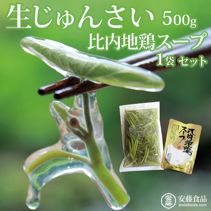 生じゅんさい500g＋比内地鶏スープ200ml×1袋 《冷蔵》（2025年5月上旬頃〜7月下旬までに発送予定） 令和7年産 2025年産 先行受付  秋田県産 三種町産