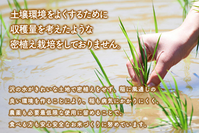 定期便7ヶ月》【玄米】あきたこまち 5kg 秋田県産 令和5年産 こまち