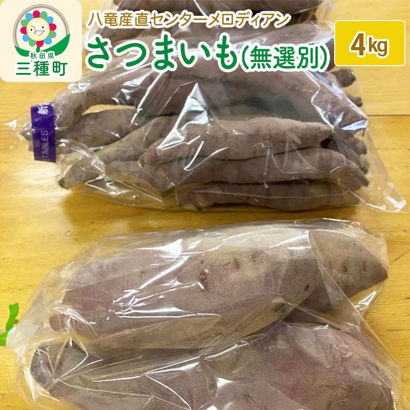 さつまいも4kg（無選別）（品種食べ比べセット）