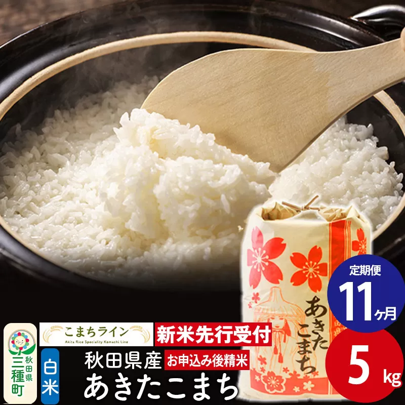 《新米先行受付》《定期便11ヶ月》【白米】あきたこまち 5kg 秋田県産 令和6年産  こまちライン