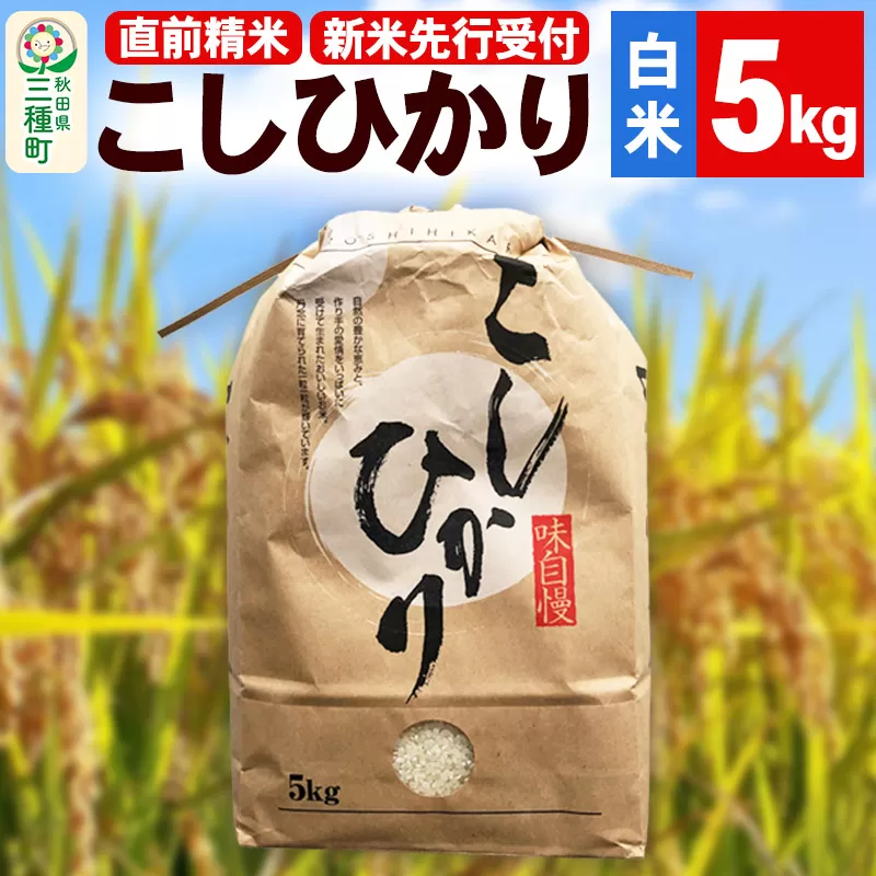 《新米先行受付》【精米】こしひかり 5kg（5kg×1袋）令和6年産 米 秋田県 三種町産