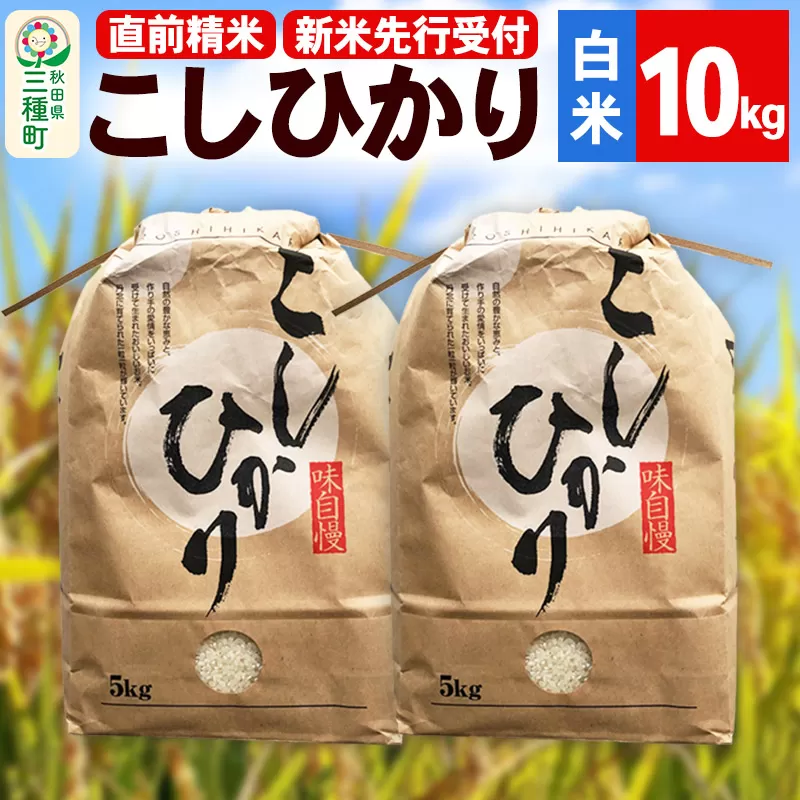 《新米先行受付》【精米】こしひかり 10kg（5kg×2袋）令和6年産 米 秋田県 三種町産