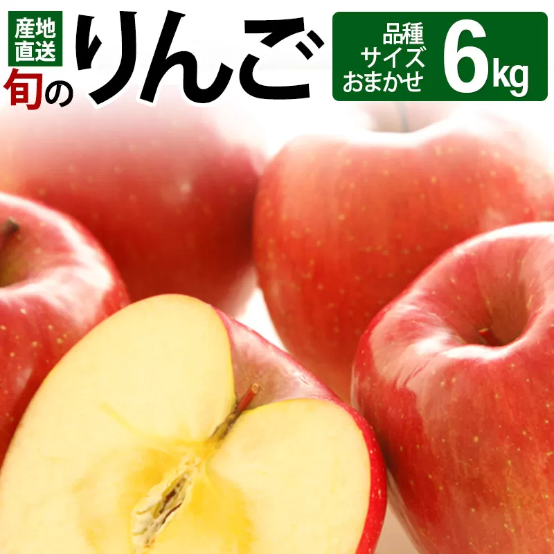 《先行受付》旬のりんご 6kg (品種、サイズおまかせ)  (11〜12月頃発送) ご自宅向け 産地直送 リンゴ 林檎 フルーツ