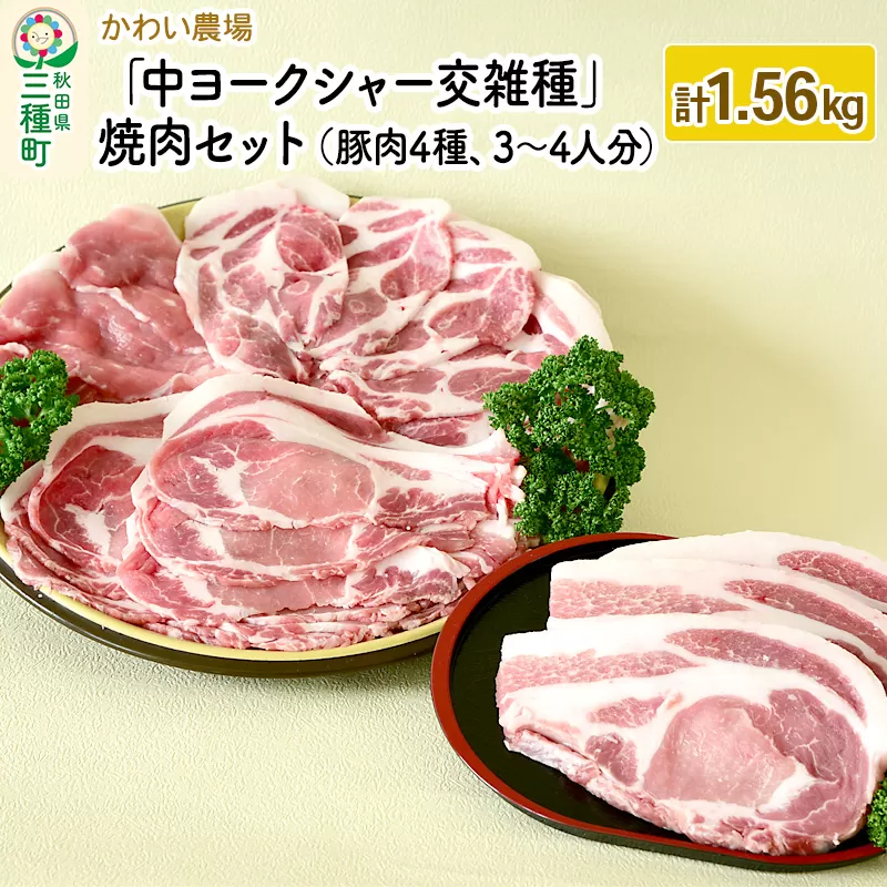 かわい農場「中ヨークシャー交雑種」焼肉セットA（豚肉4種類、3〜4人分） しっぽ豚