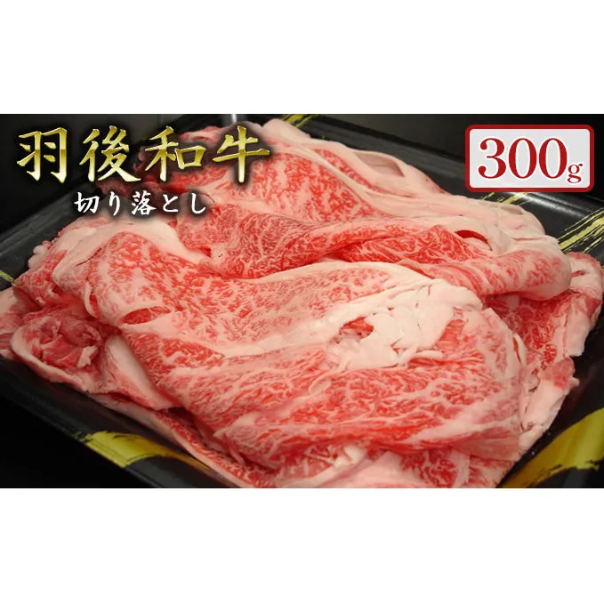 羽後和牛 贅沢切り落とし300g