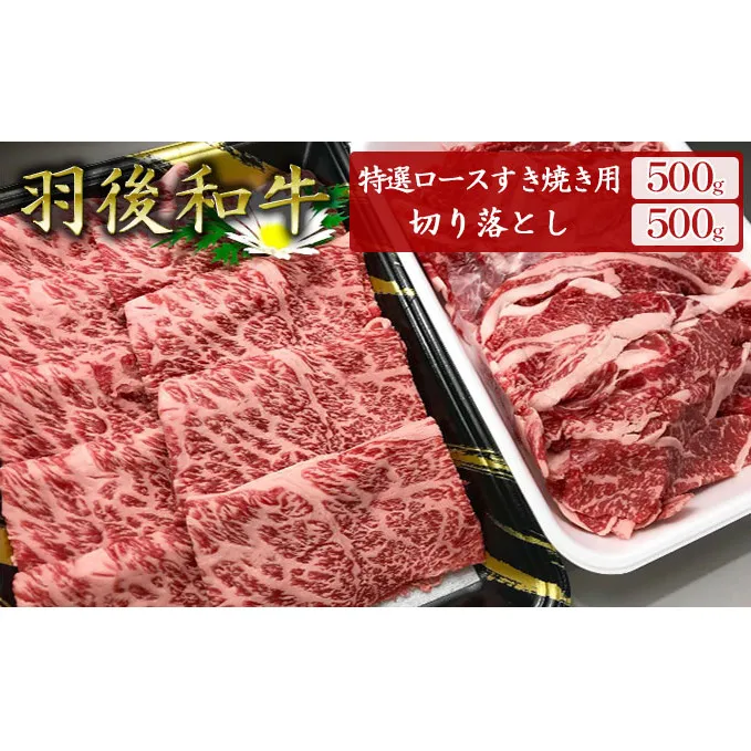 羽後和牛特選ロースすき焼き用500g+羽後和牛切り落とし500g 計1kg