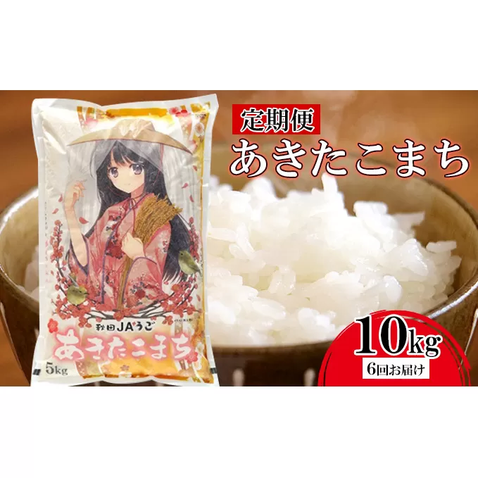 【令和6年度産　先行予約】美少女イラストあきたこまち定期便10kg（5kg×2袋）×6回