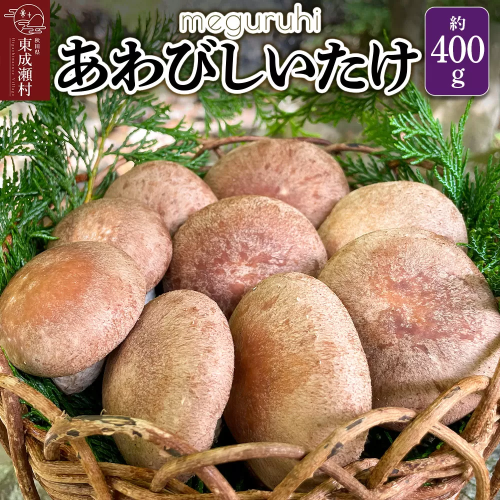 meguruhi あわびしいたけ（約400g）菌床 椎茸 シイタケ きのこ 食べ応え 肉厚 茸 秋田県 国産 大ぶり 高品質