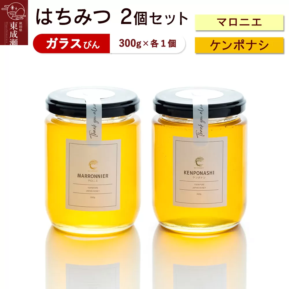 はちみつ2個セット（MARRONNIER・KENPONASHI ガラスびん）300g×各1個 計2個