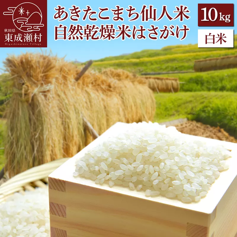 令和5年産 あきたこまち「仙人米」白米 10kg 自然乾燥米 はさがけ 秋田県東成瀬村産