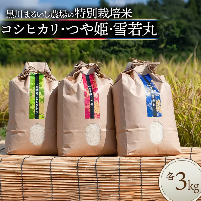 【令和6年産 新米】 黒川まるいし農場の特別栽培米 コシヒカリ・つや姫・雪若丸 各3kg 山形県鶴岡市産　K-656