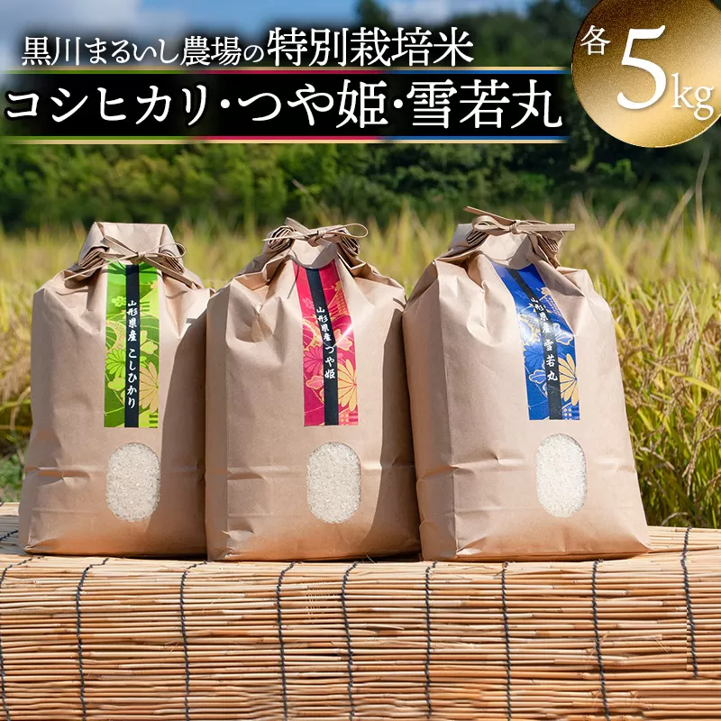 【令和6年産 新米】 黒川まるいし農場の特別栽培米 コシヒカリ・つや姫・雪若丸 各5kg 山形県鶴岡市産　K-699