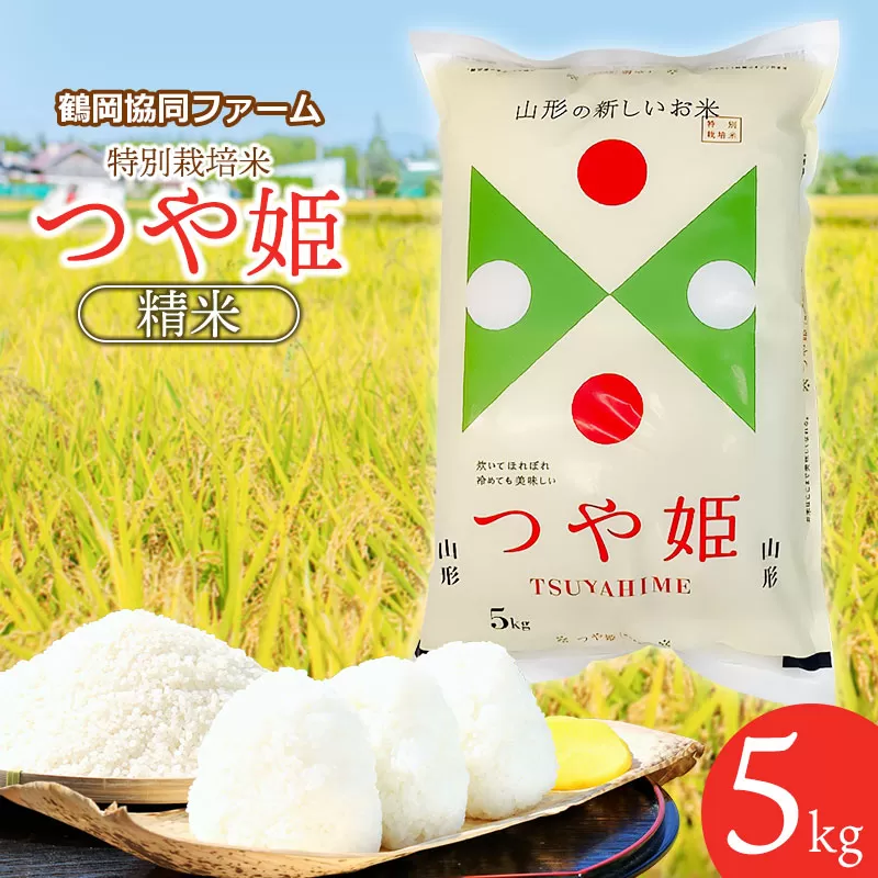 【令和6年産先行予約】 特別栽培米つや姫 5kg (5kg×1袋) 山形県鶴岡産　鶴岡協同ファーム