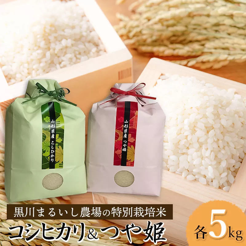 【令和6年産 新米】 黒川まるいし農場の特別栽培米つや姫・コシヒカリ 各5kg(計10kg) 山形県鶴岡市産　K-664