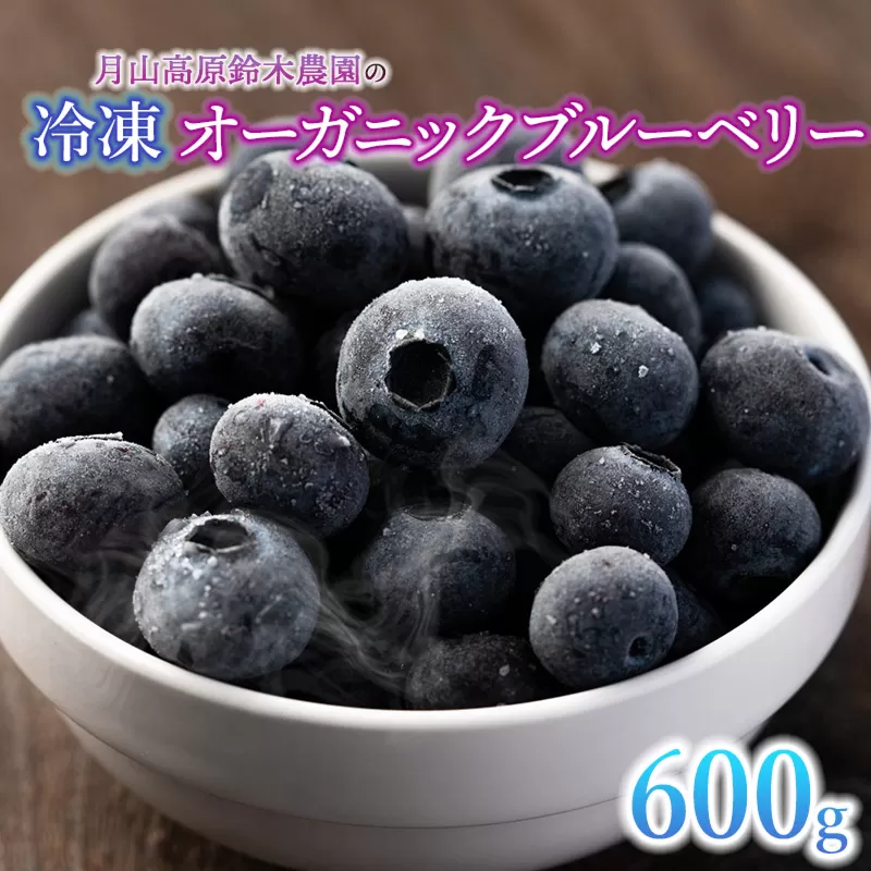 令和6年産【冷凍】月山高原のオーガニックブルーベリー(大粒・600g)　A36-603