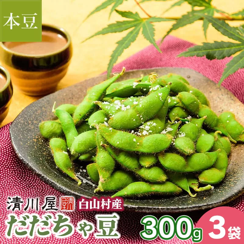 【令和7年産先行予約】白山村産だだちゃ豆 300g×3袋（計900g）【本豆】 2025年 株式会社 清川屋