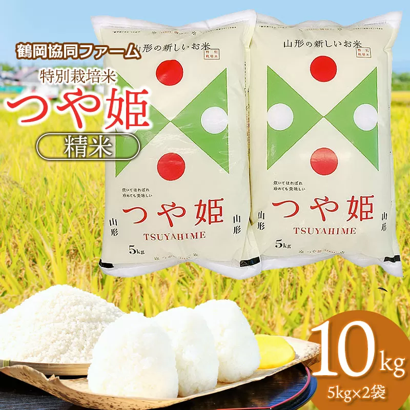 【令和7年産先行予約】 特別栽培米つや姫 10kg (5kg×2袋) 山形県鶴岡産　鶴岡協同ファーム