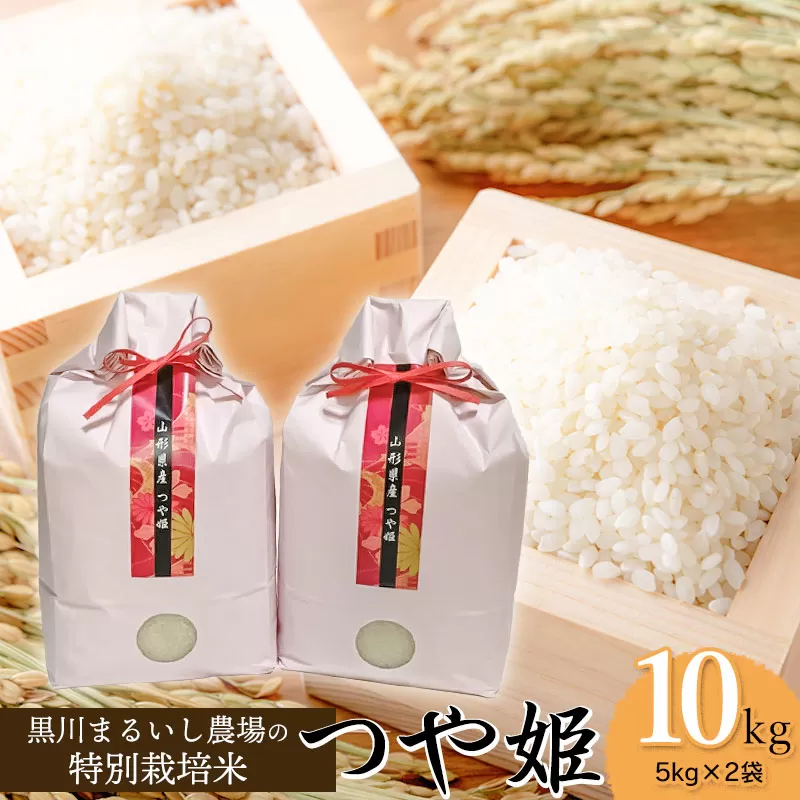 【令和6年産 新米】 黒川まるいし農場の特別栽培米 つや姫 10kg(5kg×2袋) 山形県鶴岡市産　K-667