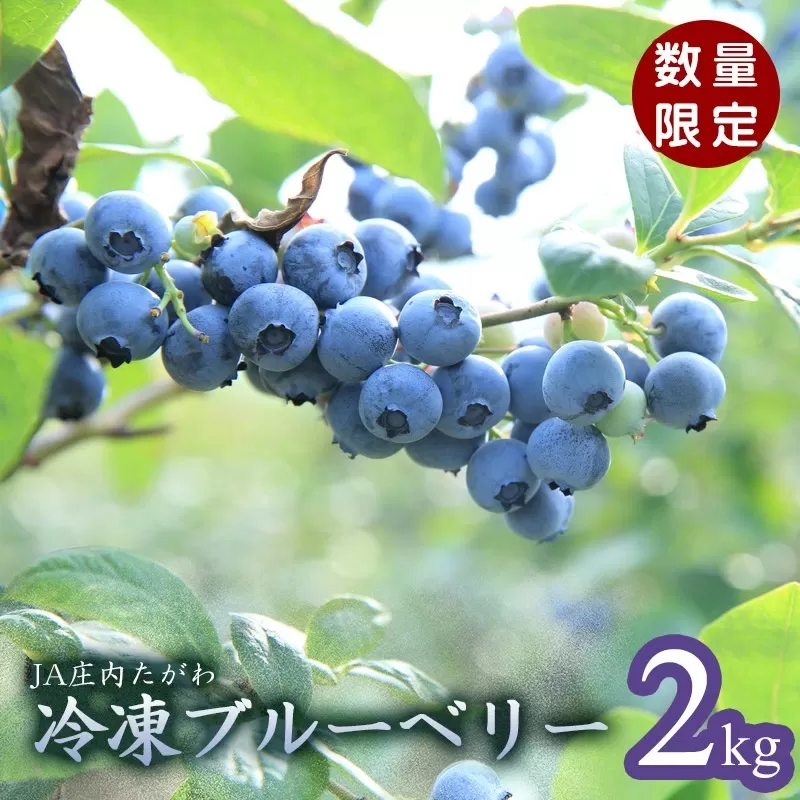 令和6年産【数量限定】 JA庄内たがわの庄内産 冷凍ブルーベリー 2kg　K-633 |  国産 冷凍フルーツ 果物 くだもの 食べ物 たべもの 食品 ご当地 特産品 お取り寄せグルメ 詰め合わせ