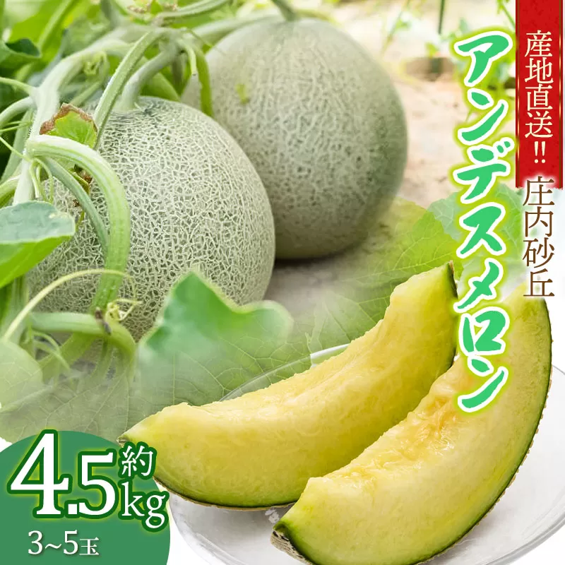 【令和7年産先行予約】産地直送！庄内砂丘アンデスメロン約4.5kg（3～5玉） 山形県鶴岡市　佐藤農園　K-733