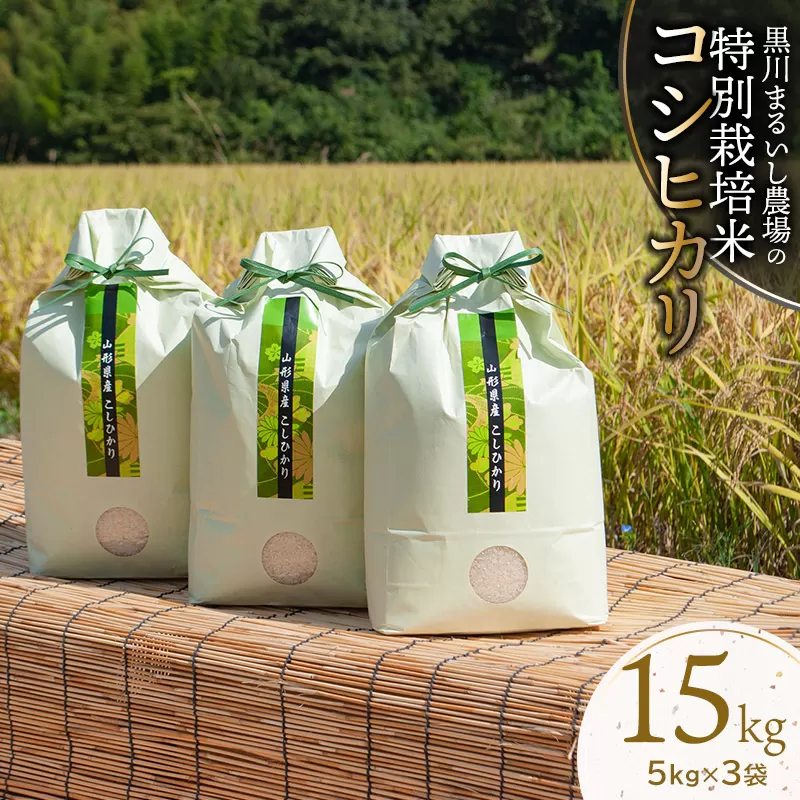 【令和6年産 新米】 黒川まるいし農場の特別栽培米 コシヒカリ 15kg(5kg×3袋) 山形県鶴岡市産　K-696