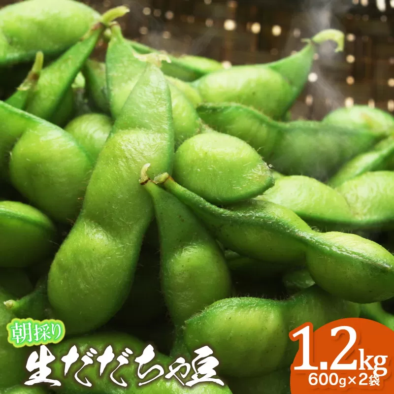 【令和7年産先行予約】【8/11～8/17発送】 朝採り生だだちゃ豆 1.2kg(600g×2袋) 山形県鶴岡市産　鶴岡ファーマーズ