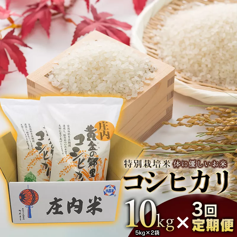 【3回定期便】【令和6年産】 特別栽培米 体に優しいお米・こしひかり 10kg(5kg×2)×3回 山形県庄内産　鶴岡米穀商業協同組合