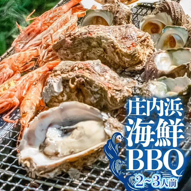 【令和7年産先行予約】庄内浜海鮮ＢＢＱ（バーベキュー）セット　２～３人前 K-746