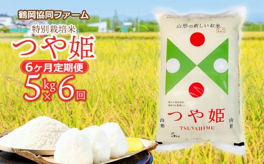 令和6年産先行予約】【定期便】特別栽培米つや姫 5kg (5kg×1袋)×6ヶ月 山形県鶴岡産  鶴岡協同ファーム｜鶴岡市｜山形県｜返礼品をさがす｜まいふる by AEON CARD