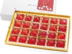 フローズンさくらんぼ「紅てまり 特撰」2L玉24粒化粧箱入　hi004-hi029-010r